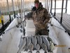 (03/15/2017) - Nice Striped Bass